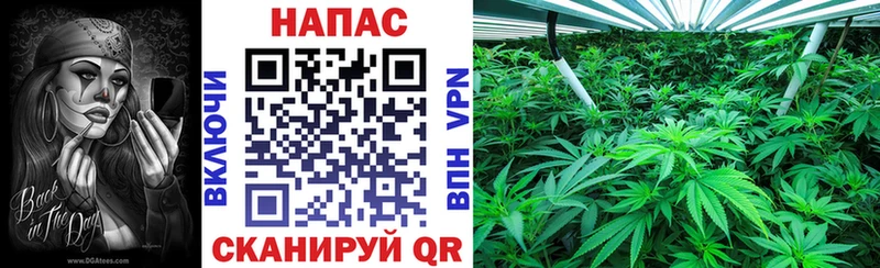 Купить наркотик аптеки Ржев A PVP Меф мяу мяу Cocaine