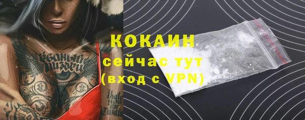 бошки Арсеньев