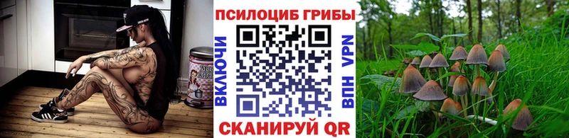 Псилоцибиновые грибы Cubensis  продажа наркотиков  kraken как войти  Ржев 